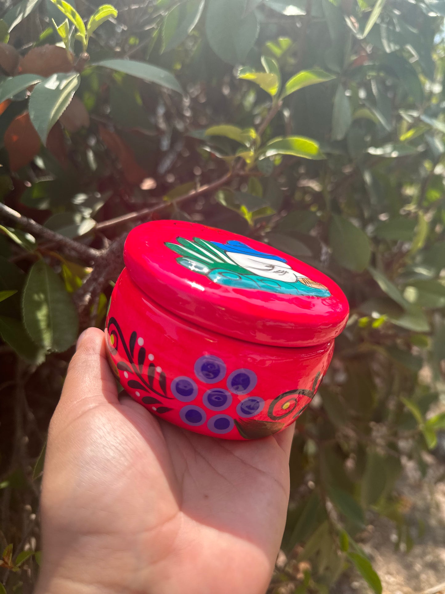 Alhajero Sueno Mexicano - Rosa Neon